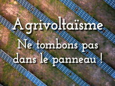 Article revue Silence - Rendements de l'agrivoltaïsme