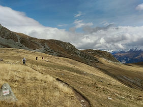 Séjour enduro VTT singletrack