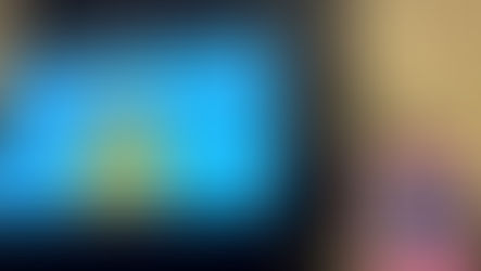 מה הקשר בין תכנות ברווז והצגת נתונים?