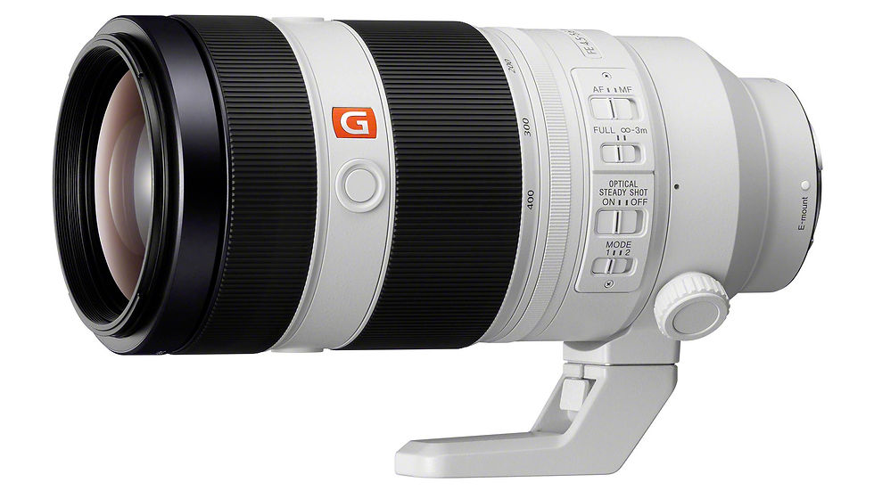 Sony FE 100-400mm F4.5-5.6 GM OSS