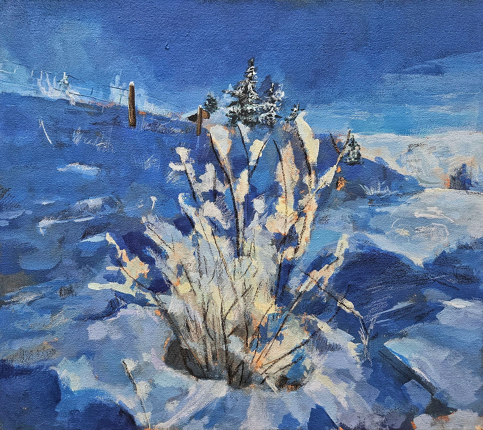 Landscapes