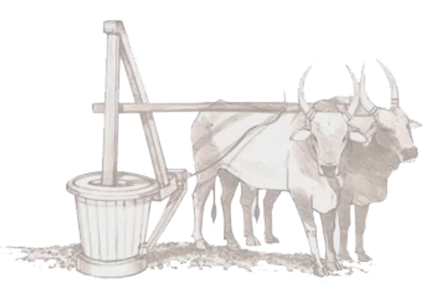 chekku madu_edited_edited_edited_edited.