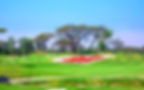 Dagon Golf City