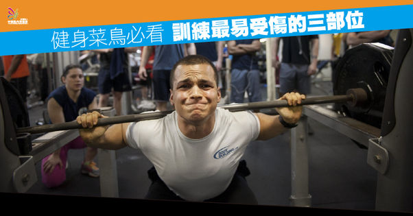 【健身菜鳥必看 訓練最易受傷的三部位】