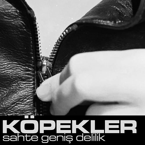Köpekler - Sahte Geniş Delilik Cover.jpeg