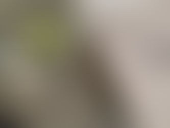 Morning Routine: So startest du entspannt und voller Energie in den Tag