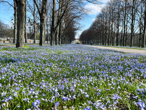 The Soft Reset: Warum der Frühling der wahre Neuanfang ist