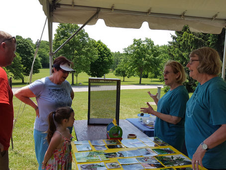 Summer 2016 Monarch Diary