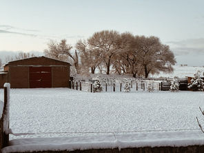 Permítete cambiar. Las veces que sea necesario.