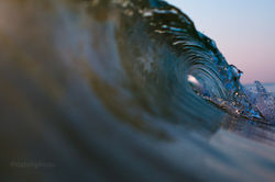 WhenIDream_VeroBeach_Florida_natehphoto-4617