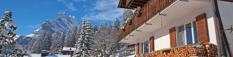 Snowy Mountain Chalet