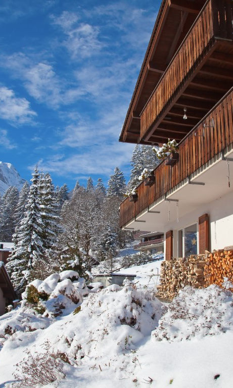 Ski Chalet