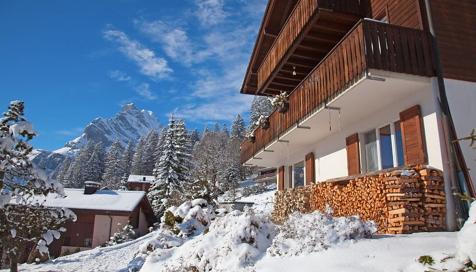 Ski Chalet
