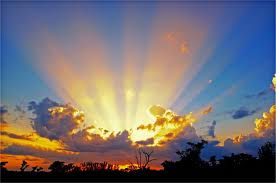 Rays of Sunshine