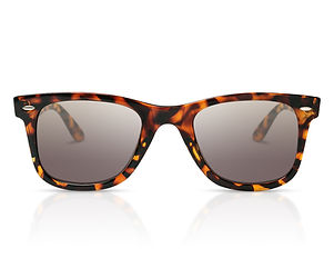 Tortoise Shell Shades