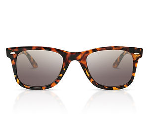 Tortoise Shell Shades