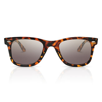 Tortoise Shell Shades