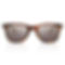 Tortoise Shell Shades