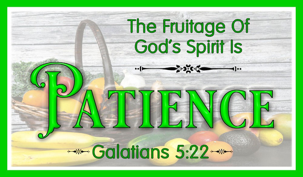 Fruitage of God's Spirit Magnet - Patience