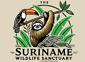 Logo redesigned.png