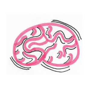 An Interview with Sophie Brain Scribbles 