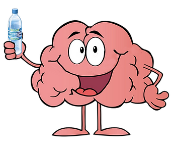Drinking water will lead to better brain health