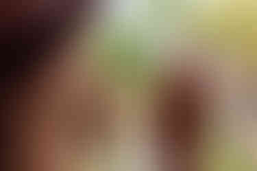 Longing for Adventure