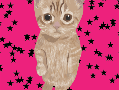 Illustrator lab