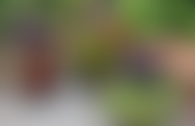 Creating Beautiful Flower Pot Combinations: A Guide for DIY Homeowners