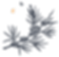 Asset 2_edited.png