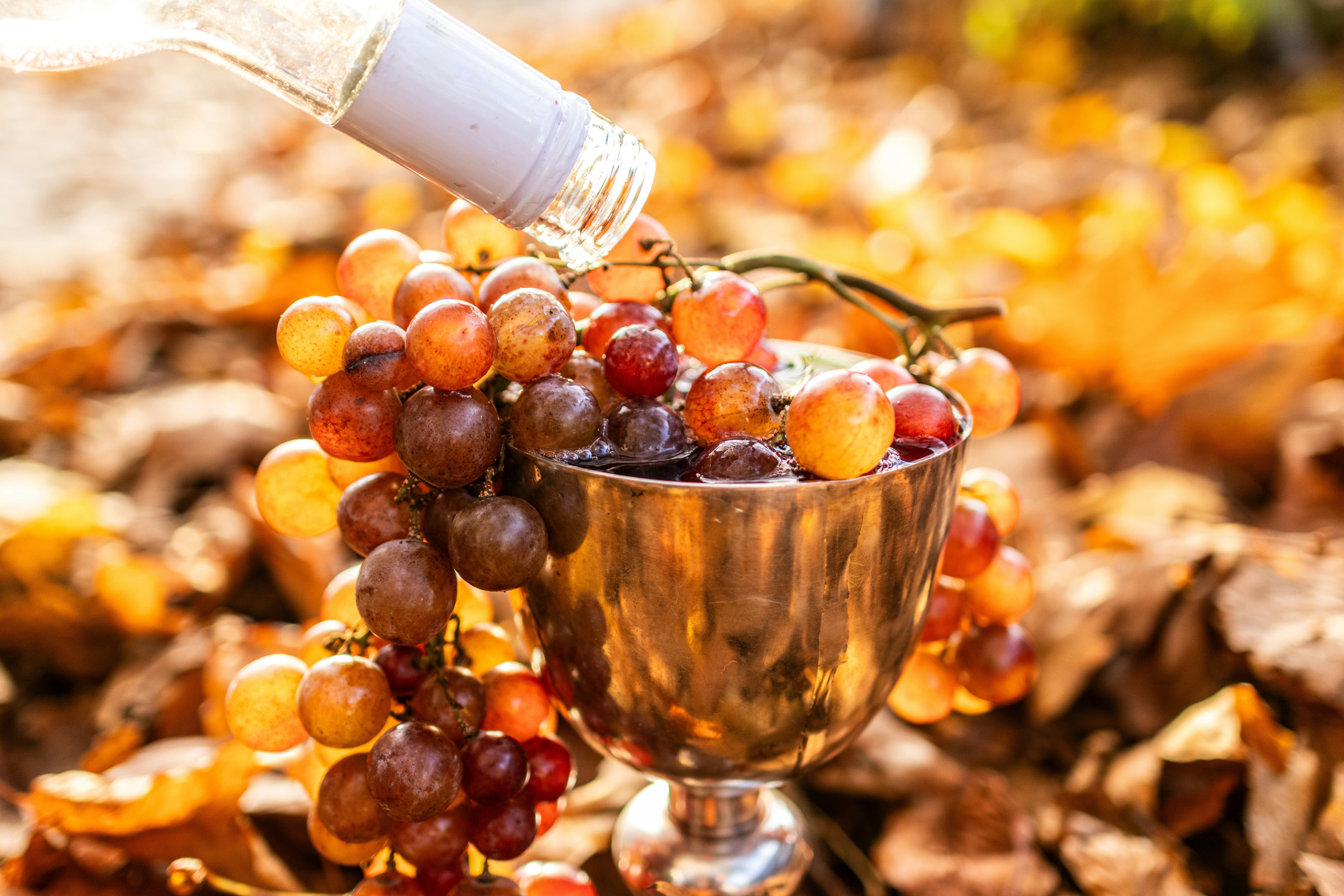 Cellar Sessions: Wines For Your Thanksgiving Table
