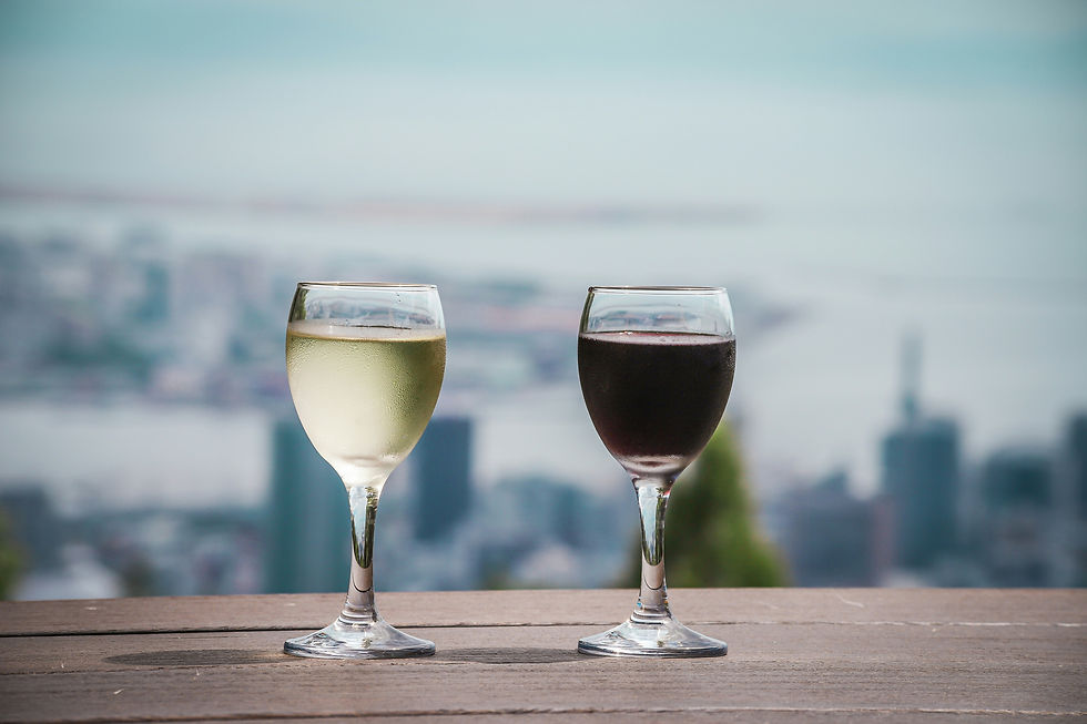 Utah Women & Wine: Old World vs. New World