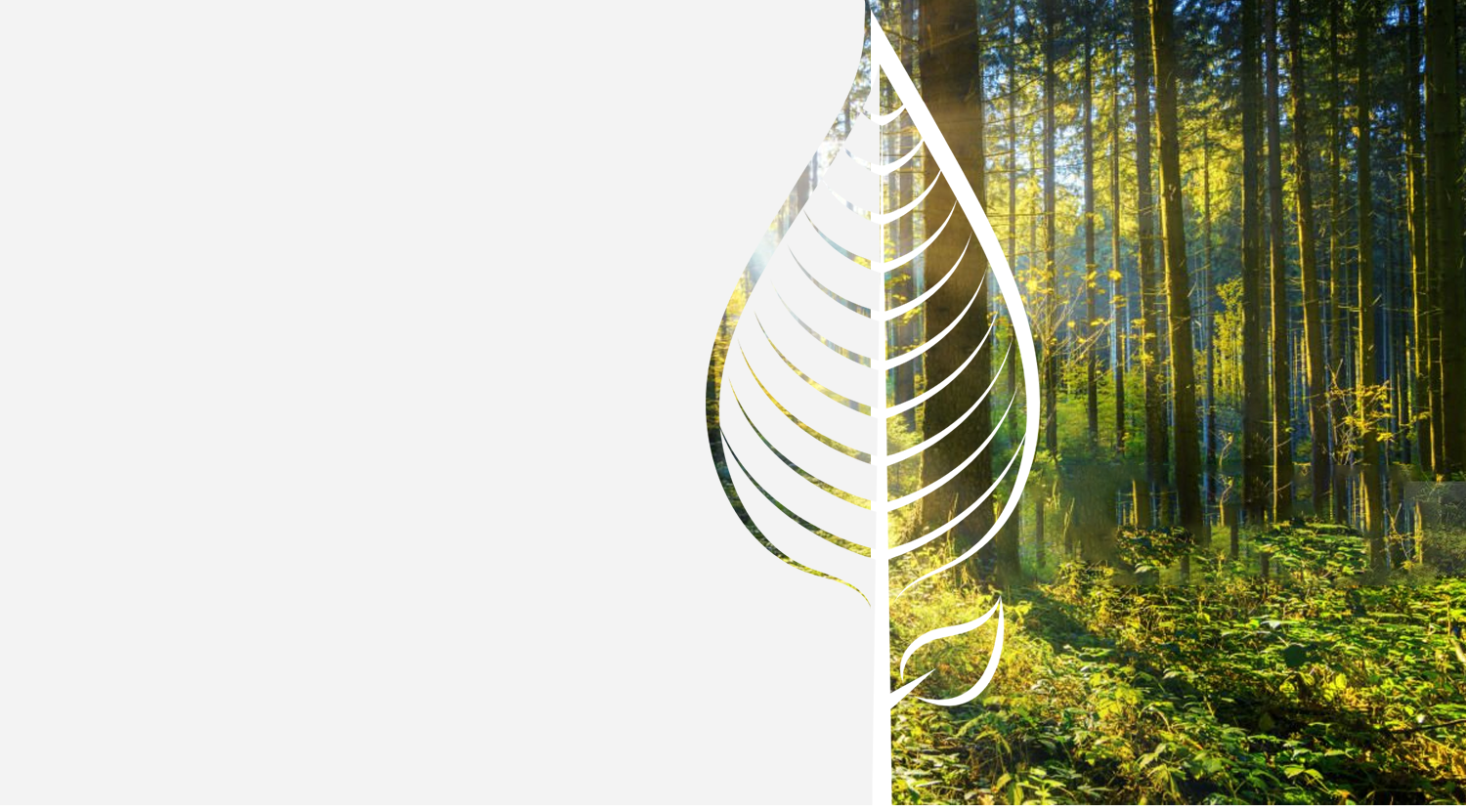 story-bg.png