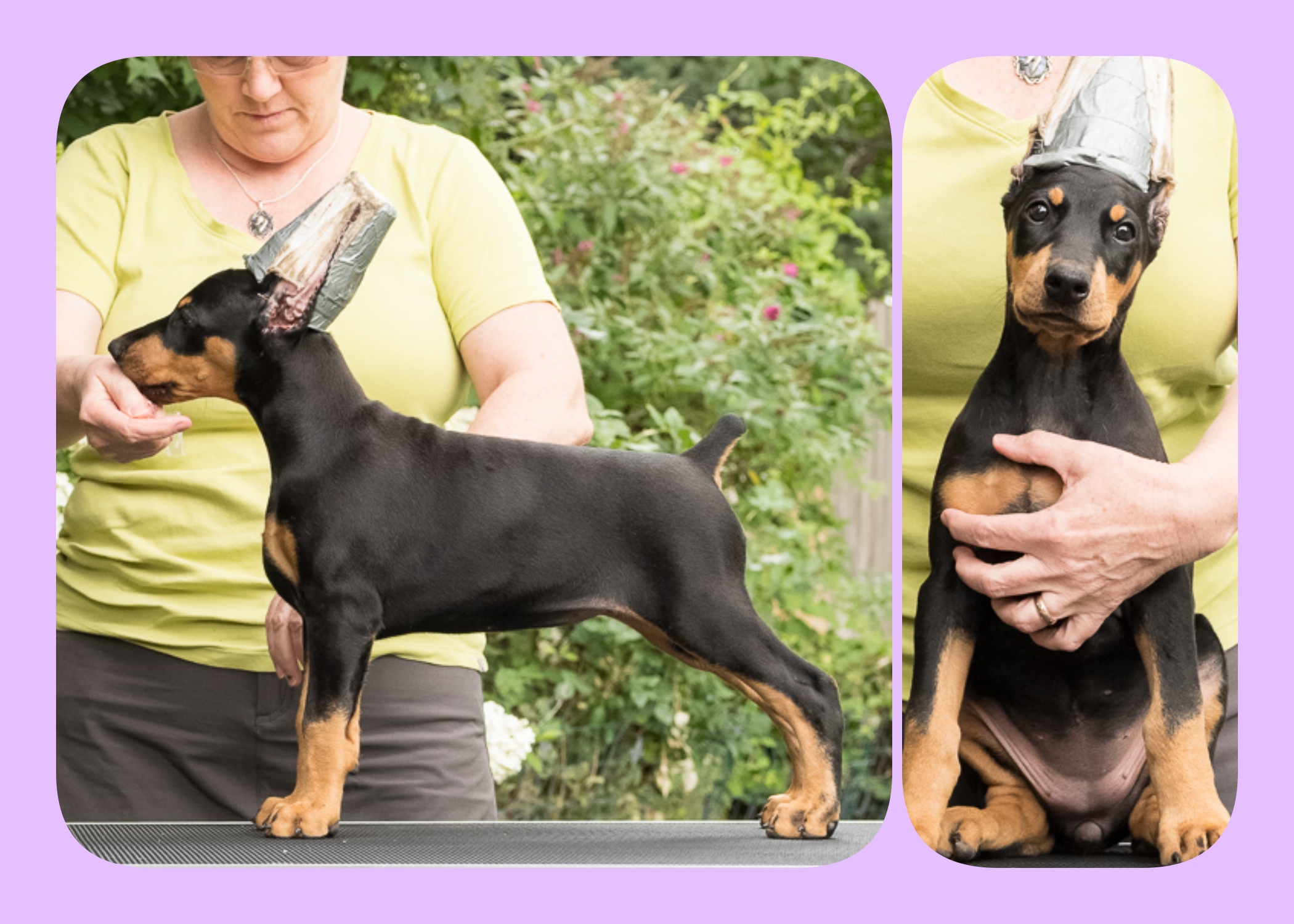 LILAC 8 Weeks