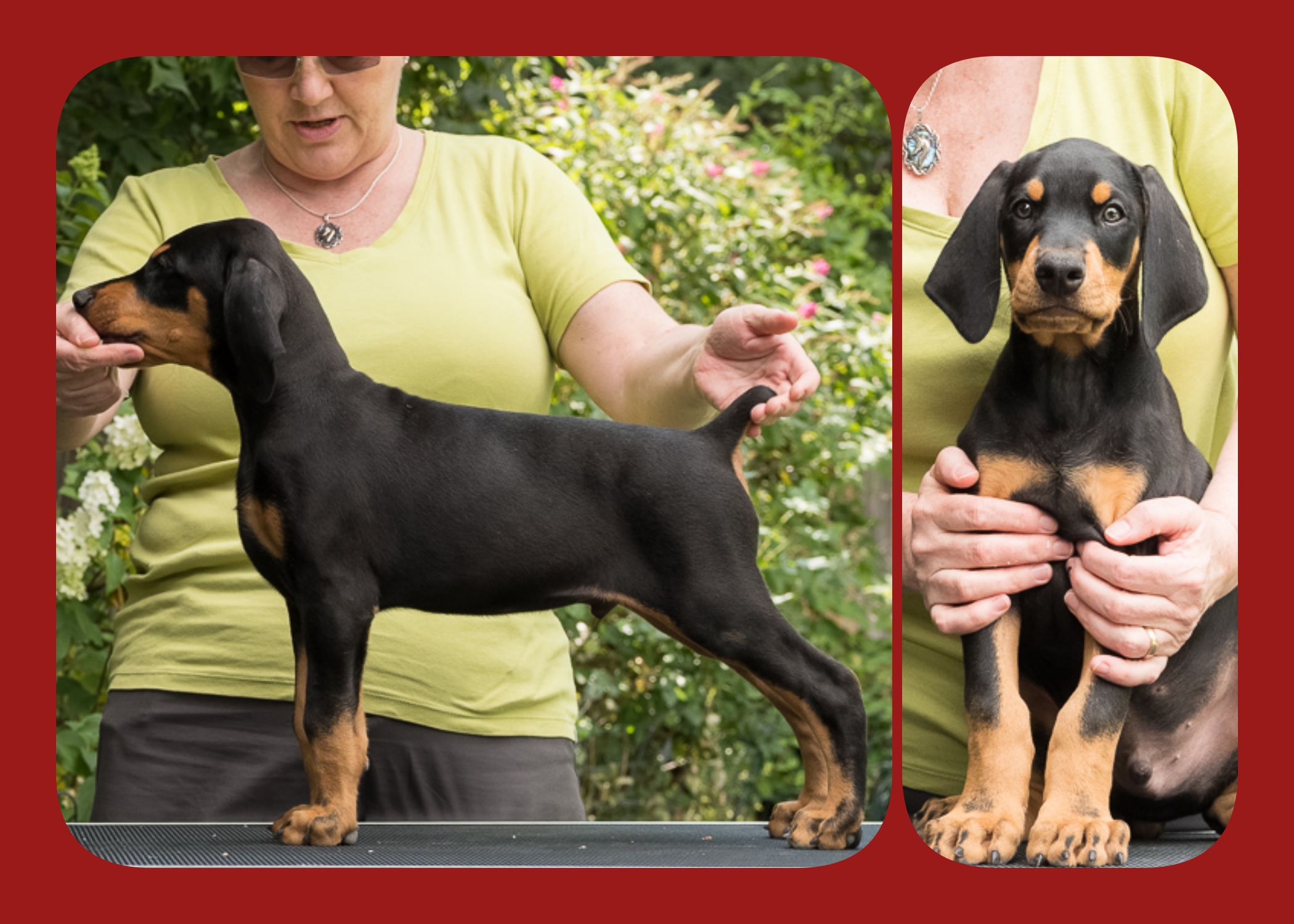 RED 8 Weeks