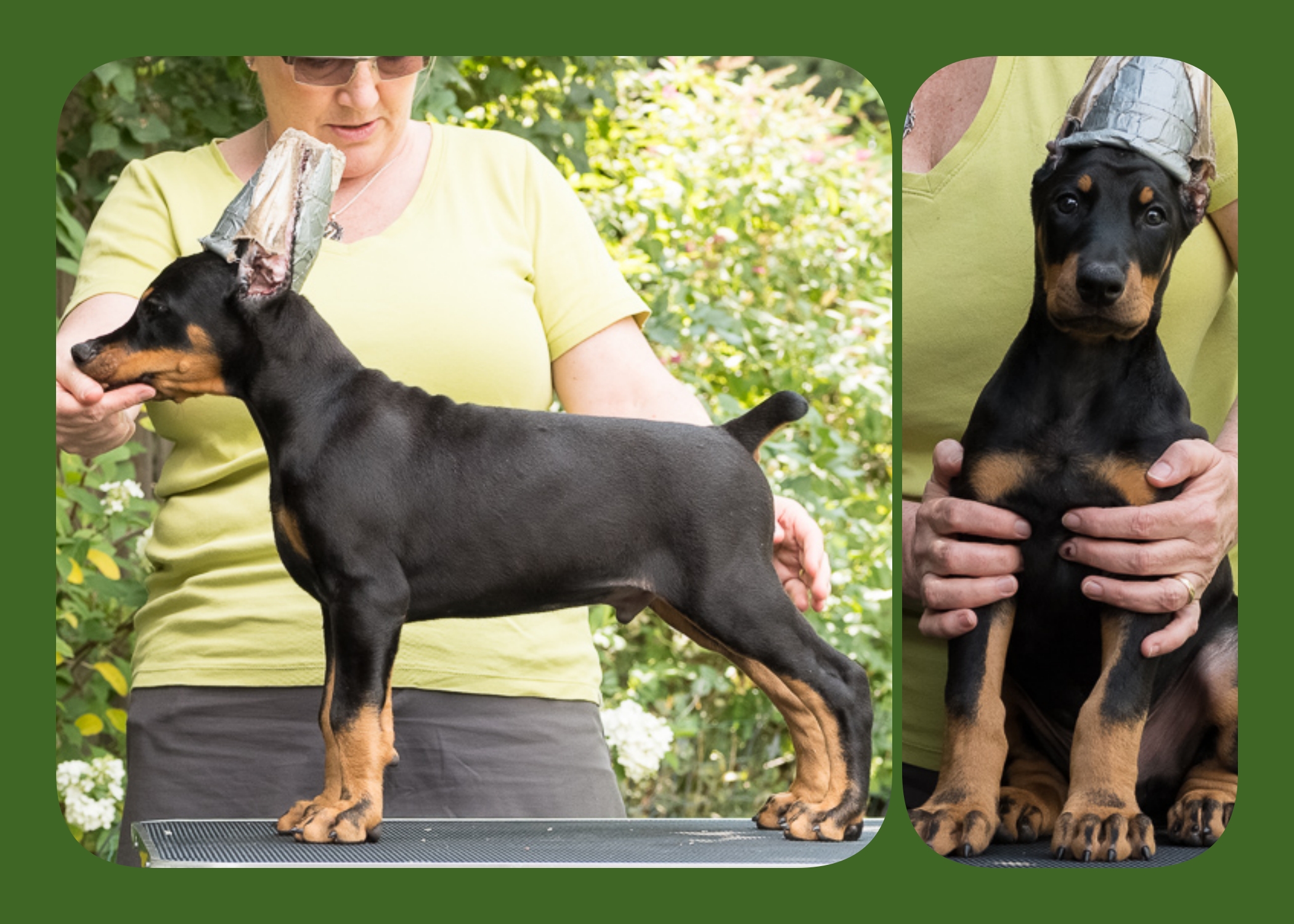 GREEN 8 Weeks