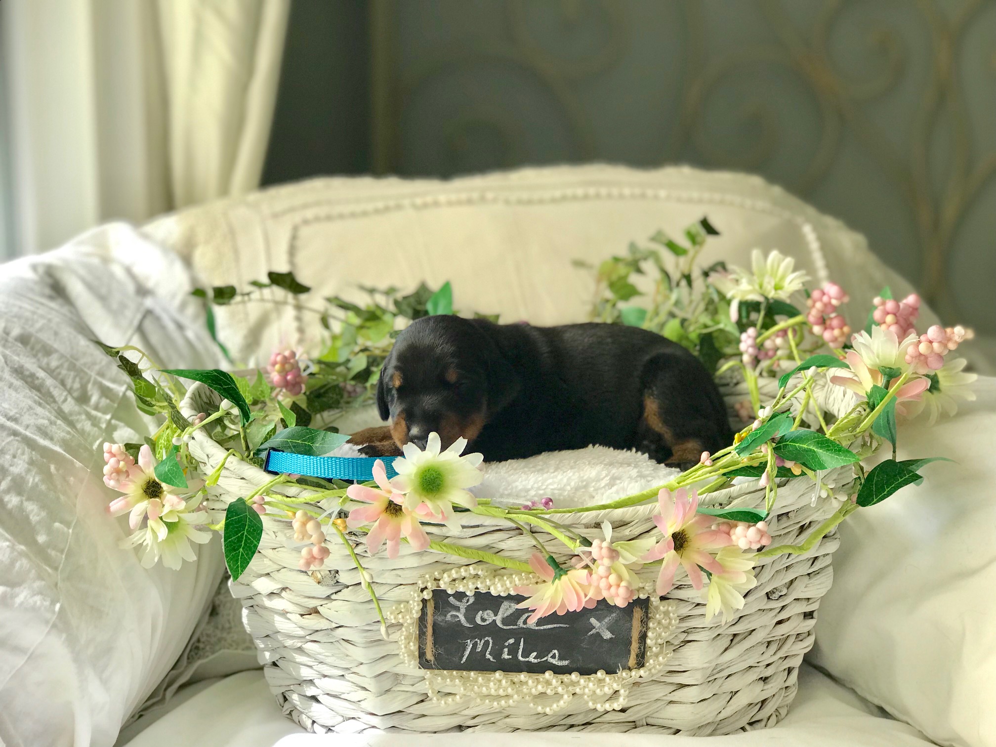 Teal Girl 1 Week