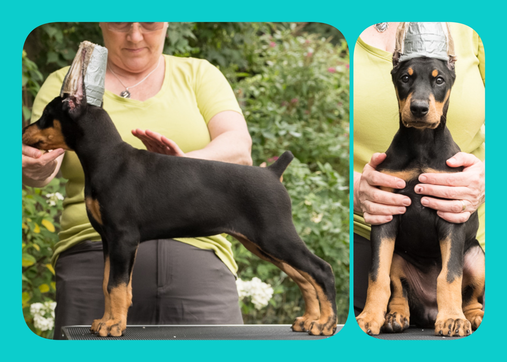 TEAL 8 Weeks