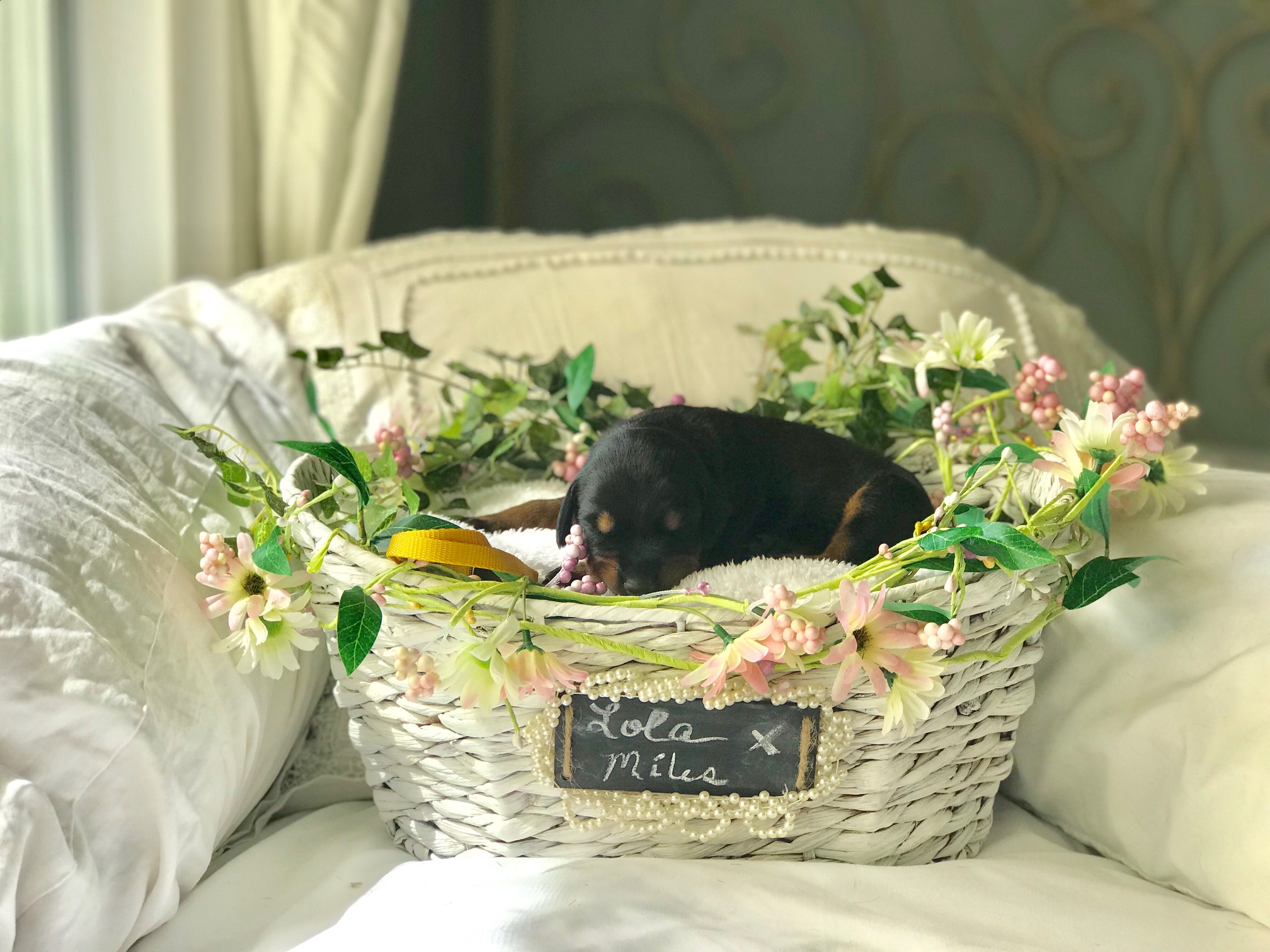 Yellow Girl 1 Week