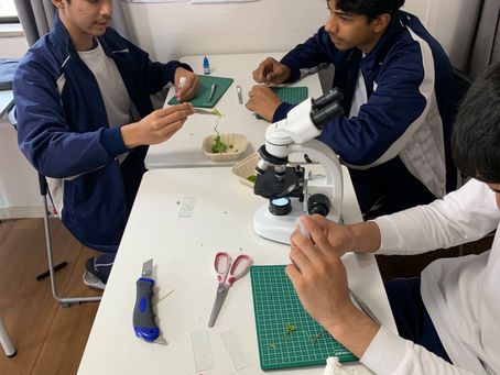 Plant Anatomy Investigation: A Hands-On Science Experience Rooted in Discovery