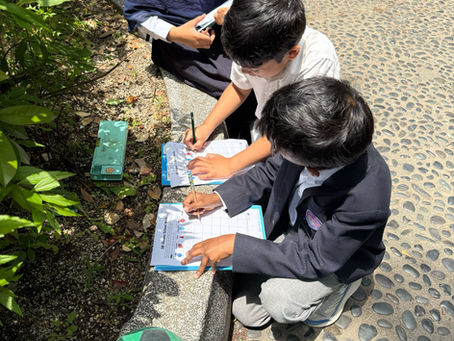 Hands‑On Math Learning at IISO: Outdoor Activities That Bring Concepts to Life