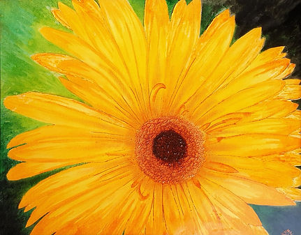Gerbera adjusted 1 NOS.jpg