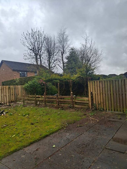 Old worn wooden garden fence needing replacement in residential back garden