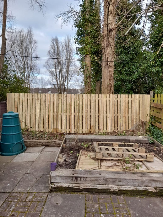 New timber fence panels installed behind garden raised beds and water butt
