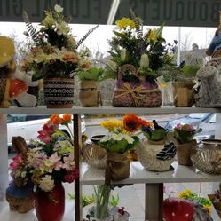 Selection of potted plants on display shelves