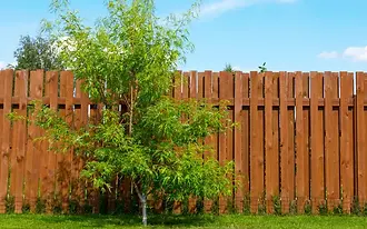 Traditional timber panel fence bordered by green garden shrubs