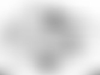 PELA QUINA DO PASSARINHO