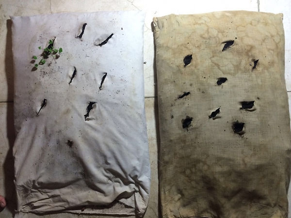 travesseiros esfaqueados cheios de terra