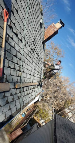 Roof Shingles