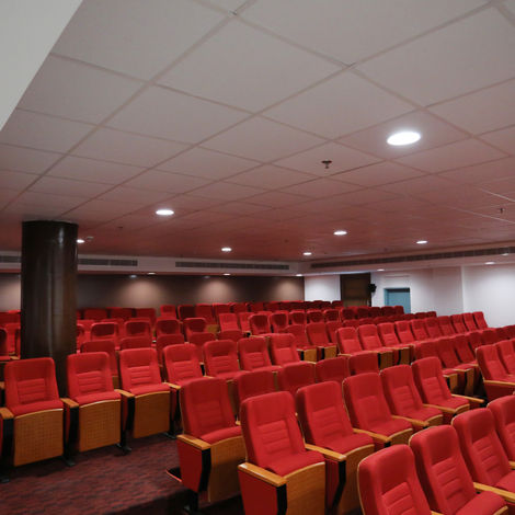 Picture 5.JPG